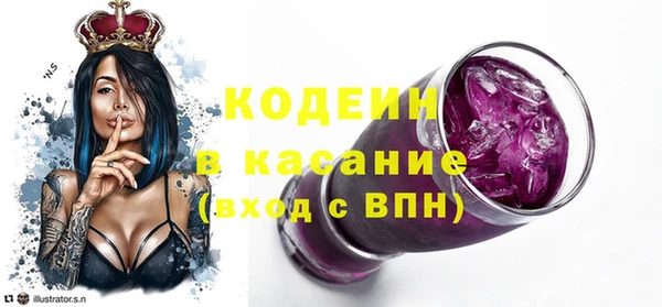 твердый Сясьстрой