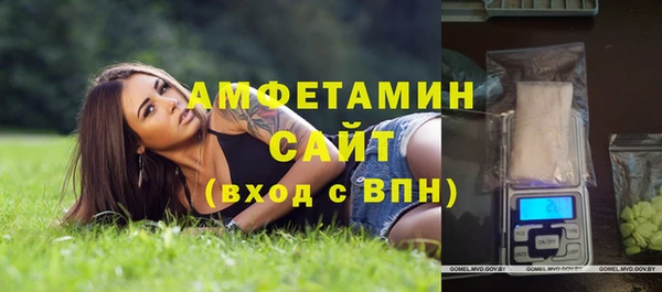 твердый Сясьстрой