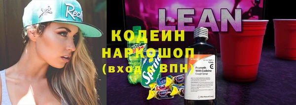 твердый Сясьстрой