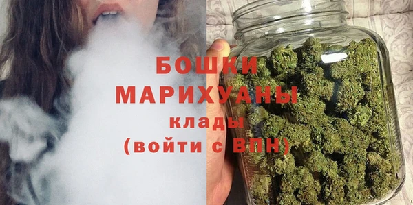твердый Сясьстрой