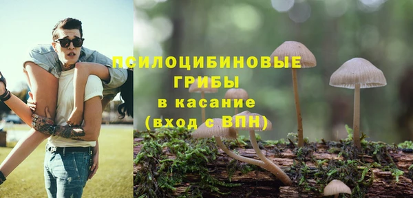 гидропоника Тайга