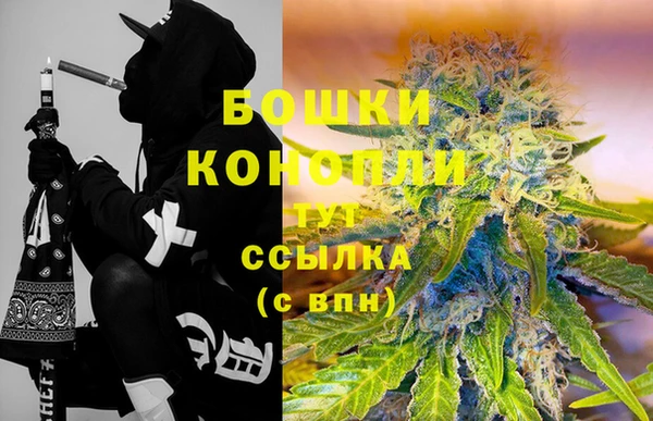 твердый Сясьстрой