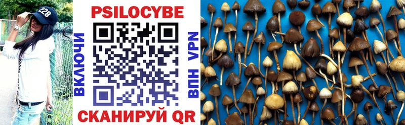 дарк нет какой сайт Тутаев Галлюциногенные грибы Psilocybe где найти наркотики