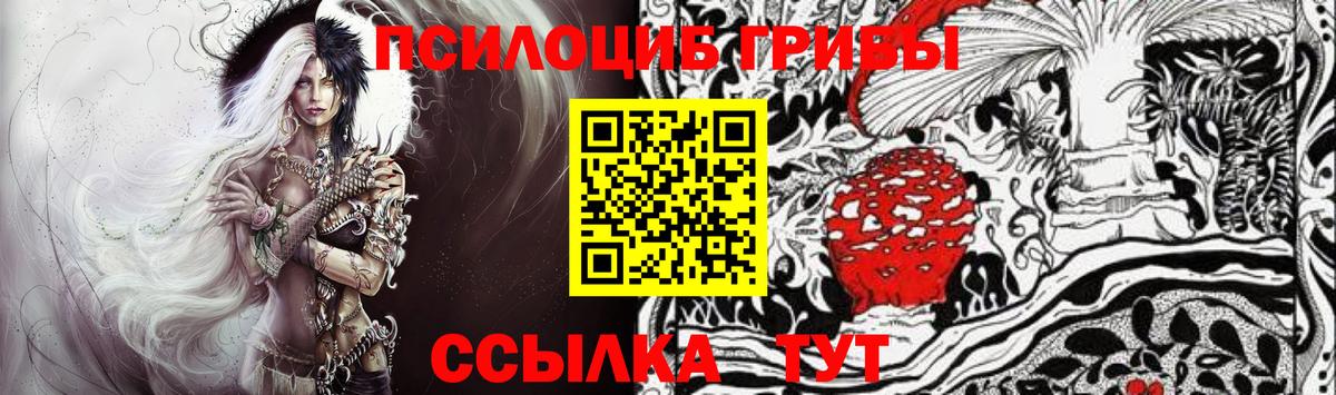 Галлюциногенные грибы Psilocybe Тутаев