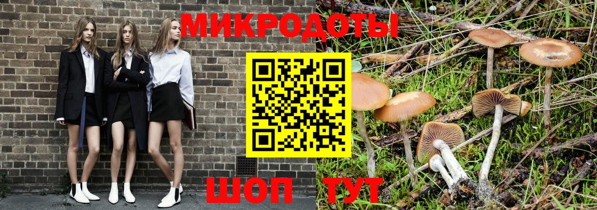 Псилоцибиновые грибы ЛСД Тутаев